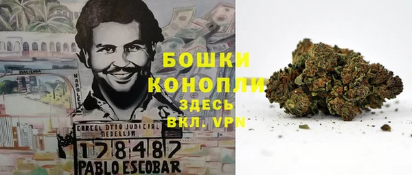 шишки Кукмор